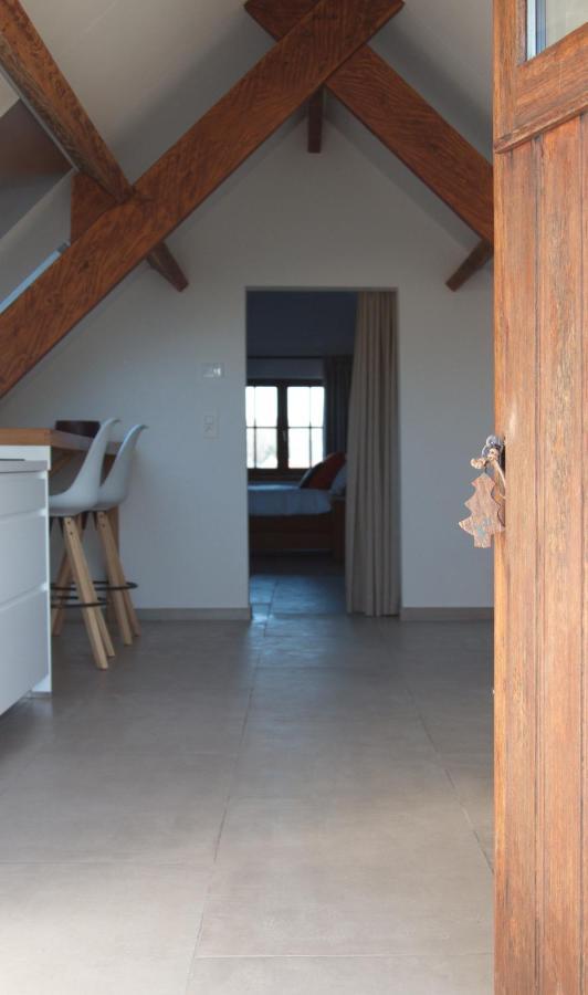 De Heide, Cozy Apartment With Separate Entrance Kampenhout Ngoại thất bức ảnh